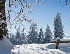 中(zhōng)國(guó)电竞战队EDG夺得全球总决赛冠軍(jūn)