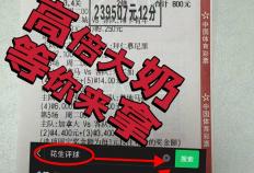 意甲升降级附加赛前瞻：比萨主场能否撼动紫百合？