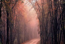 中国村网选拔赛呼和浩特站挥拍