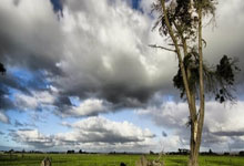 虎(hǔ)牙直播收罚单，林(lín)松(sōng)涛节衣缩食