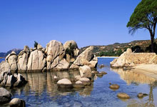 职业联赛，再不见张宝！