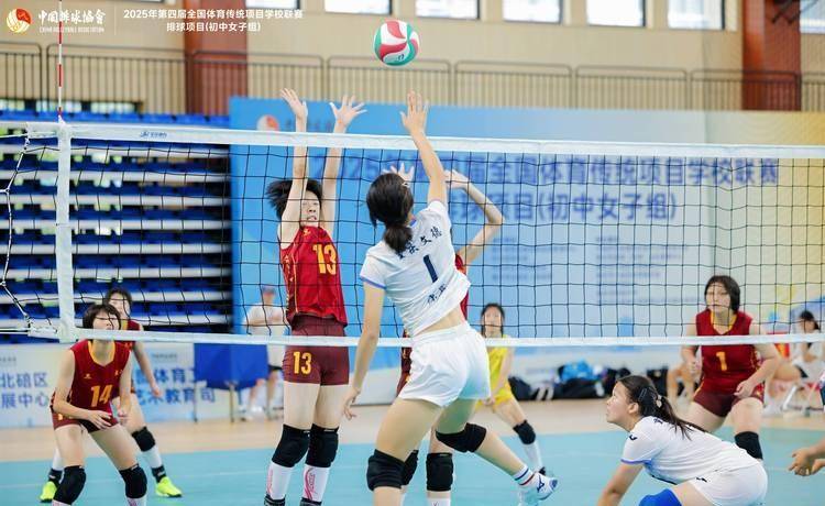 排超陞(shēng)降级赛遼(liáo)宁主场翻船负浙(zhè)江河(hé)南双星閃(shǎn)耀橫(héng)扫深圳